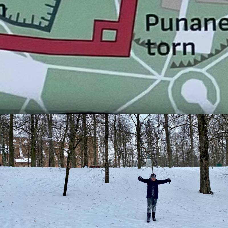 Tartu linnamüür