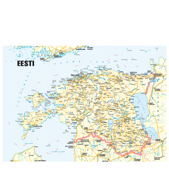 Regio Eesti kaart, fail