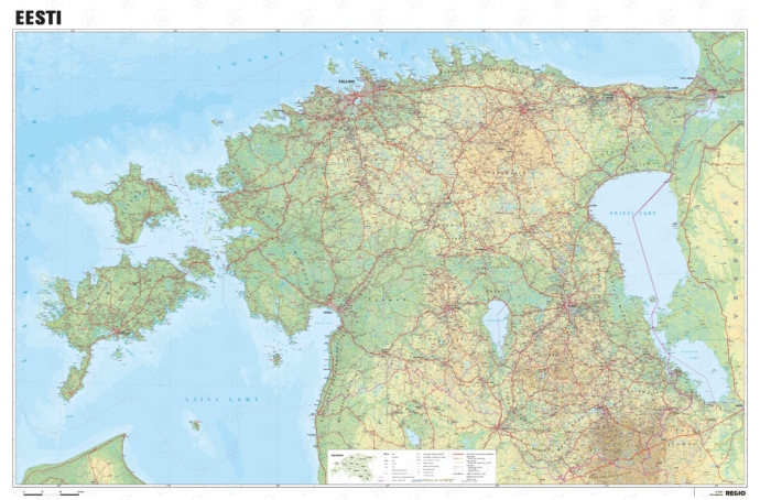 Eesti füüsiline seinakaart, detailne