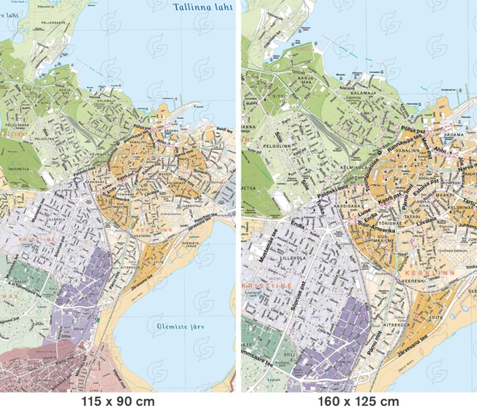 Wall map of Tallinn