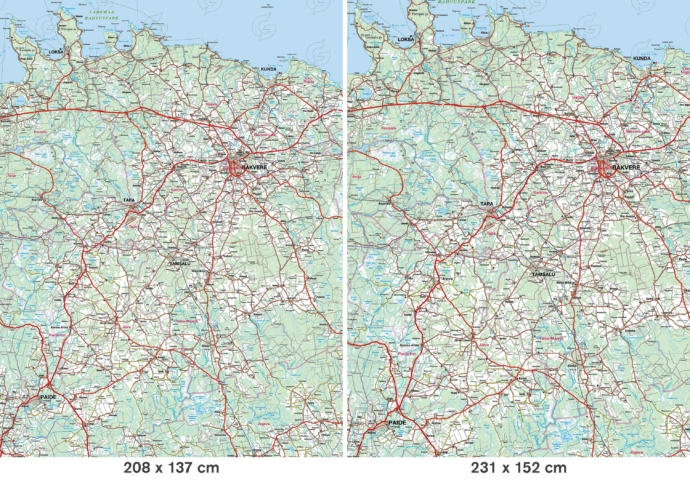 Eesti metsaga kaart, fragmendid