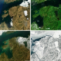 Eesti satelliidifoto 4 aastaaega Regio