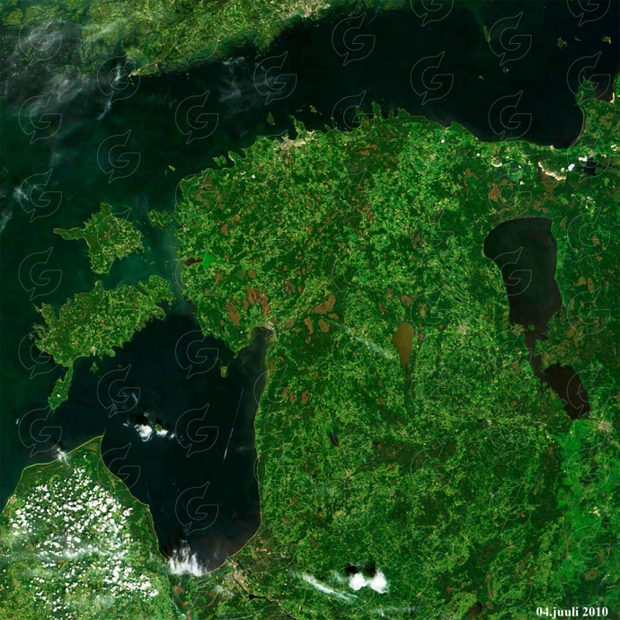 Eesti satelliidifoto suvi Regio