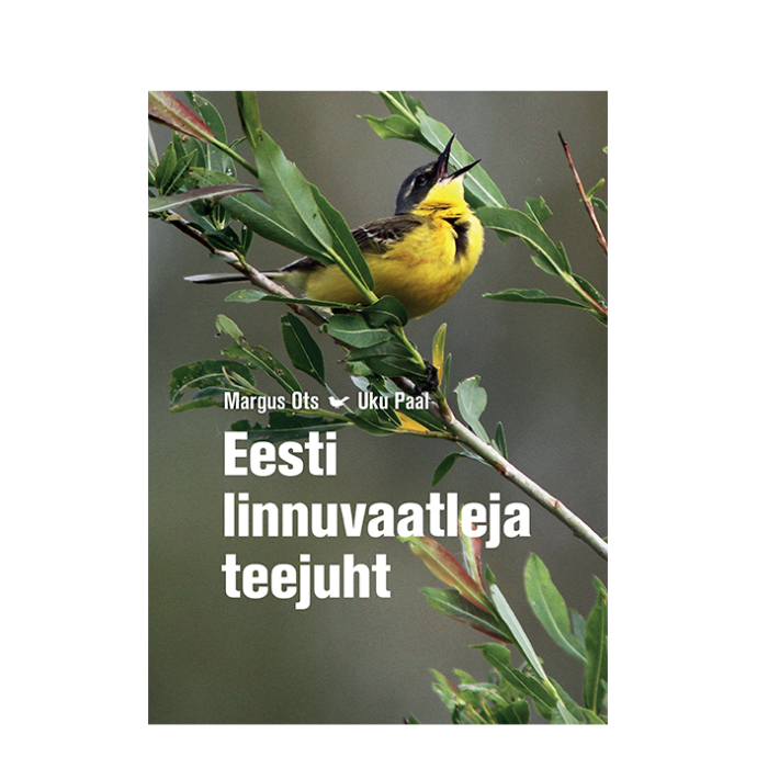 Eesti linnuvaatleja teejuht