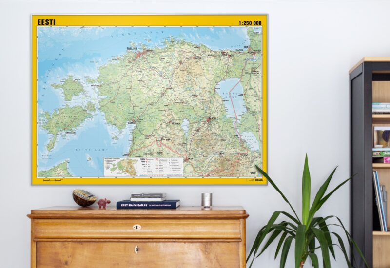 Regio physical wall map of Estonia on wall