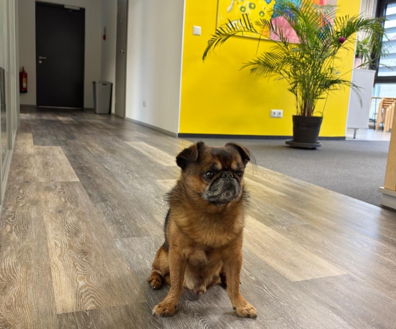 Regiolaste suur lemmik - Kaspari koer Donny