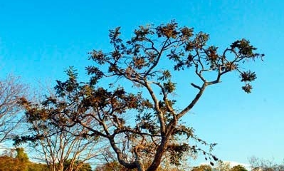 BLOG_cerrado