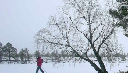 FOTO: