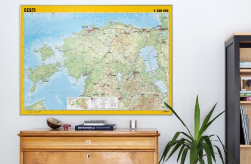 Regio physical wall map of Estonia on wall