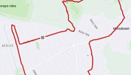 GPS-kunst, kass